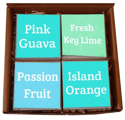 Tropical Bliss Fragrance Scents Quote Soap Set of 4 Gift Box-Free Beach Charm