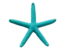 Mermaid Soul Crate Gift Set-Free Starfish Charm