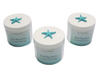 Luxury Starfish Beach Body Cream-WHOLESALE SET OF 20 COUNT