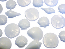 Seashore Shell Soaps Apothecary Jar Set of 2-Free Shell Jewelry Charm