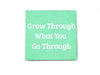 Grow Through Inspiration Quote Soap Bar