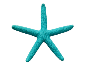 Beach Please Crate Gift Set-Free Starfish Charm