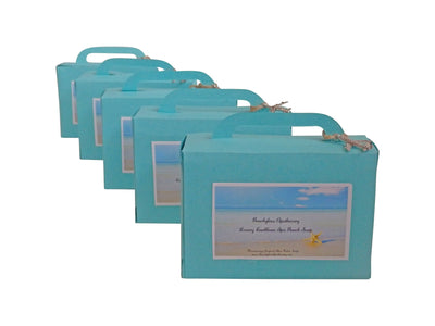Vacation Suitcase Spa Soap-Free Airplane Jewelry Charm